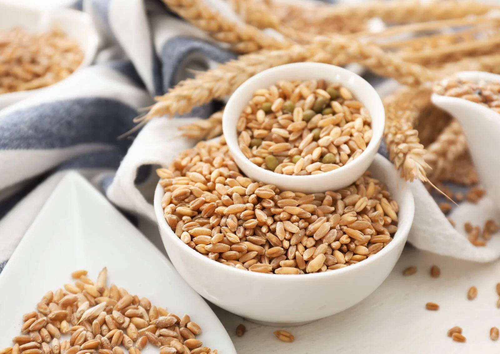 Wheat Berries, 20 Pounds — Kosher, Sproutable, Raw, Vegan V532
