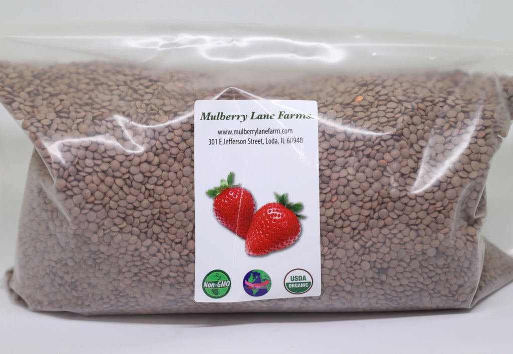 Organic Brown Lentils, Small, 5 Pounds Q5051