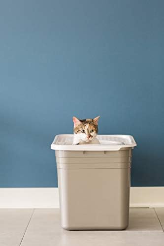 Top Entry Cat Litter Box with Filter Lid B55534