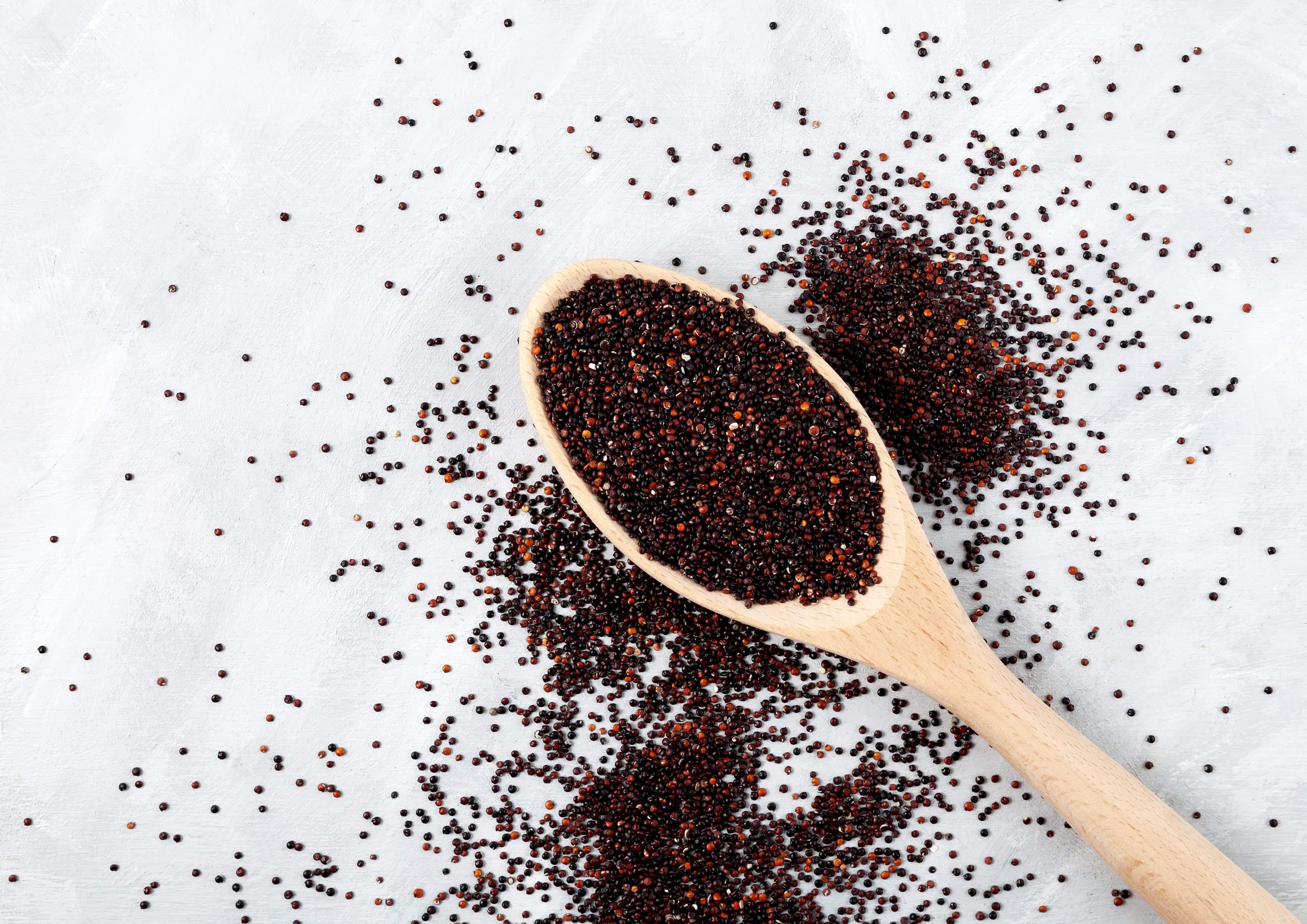 Black Quinoa, 10 Pounds — Raw, Sproutable P5877