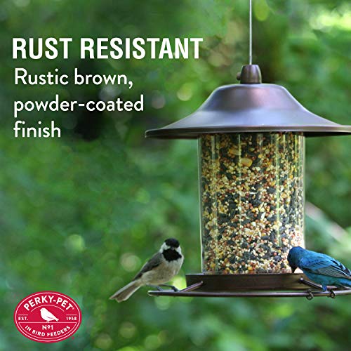 Outdoor Panorama Wild Bird Feeder, 2 Lb Seed Capacity S610
