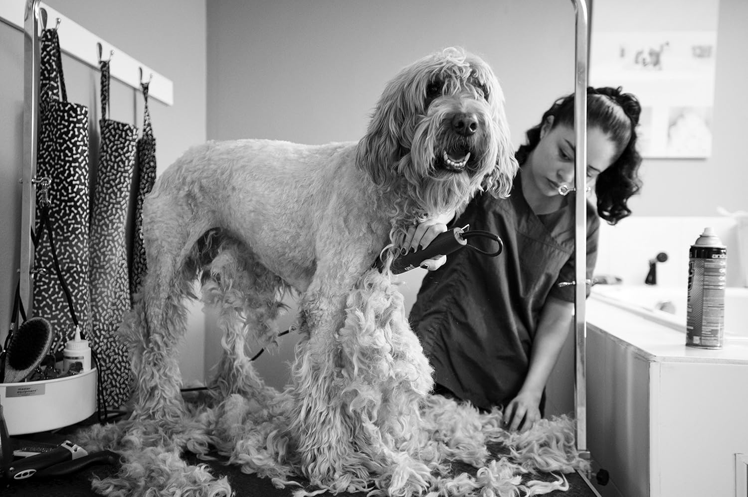 2-Speed Detachable Blade Clipper for Dog Grooming K7918
