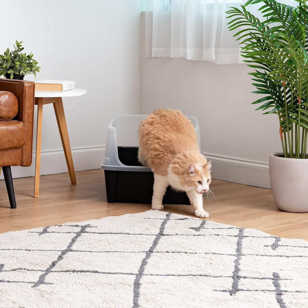Extra Large Cat Litter Box with Scatter Shield, Open Top High Sided J20154