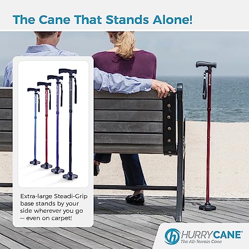Foldable Walking Cane with T Handle E863