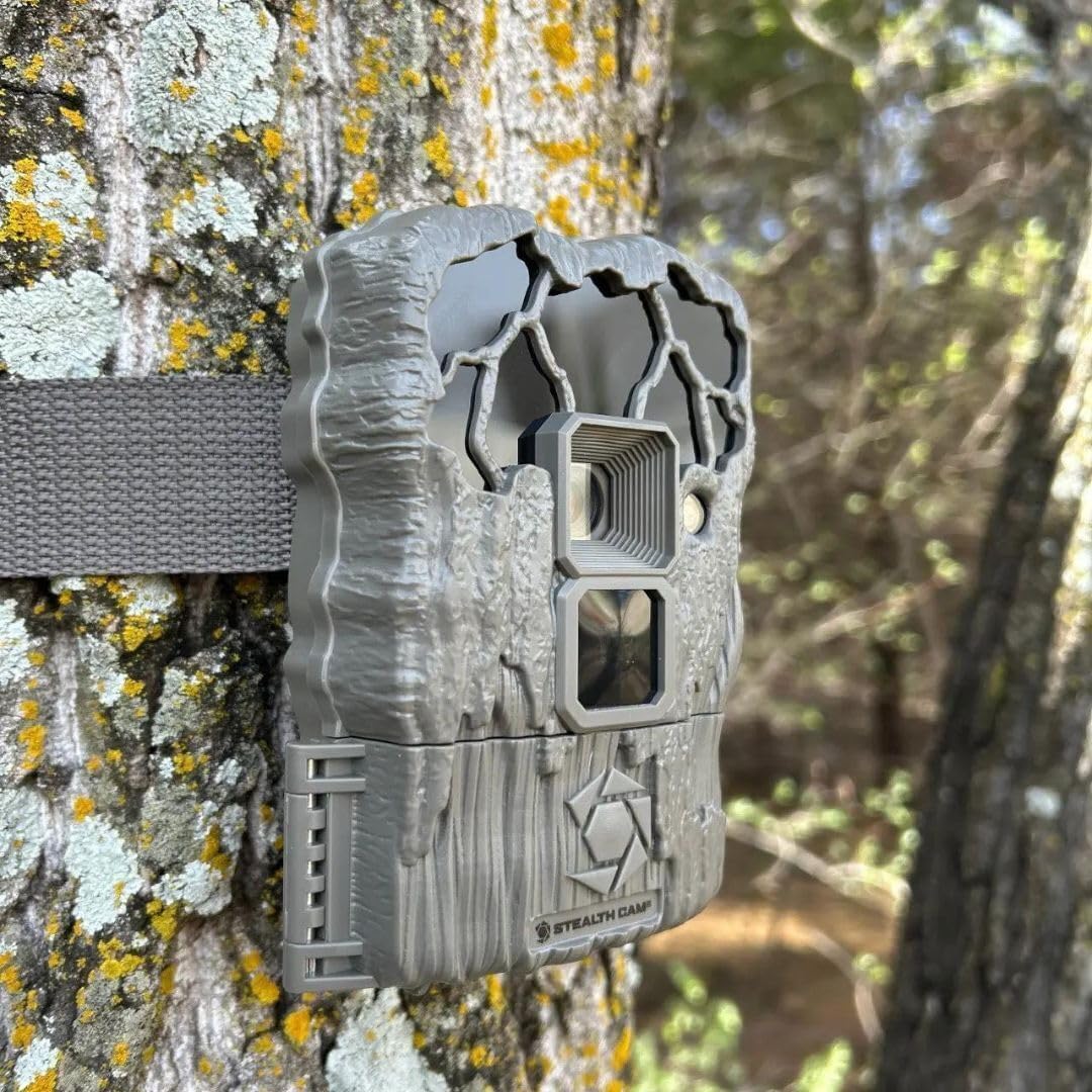 24MP Trail Camera - 2 Pack Z64030