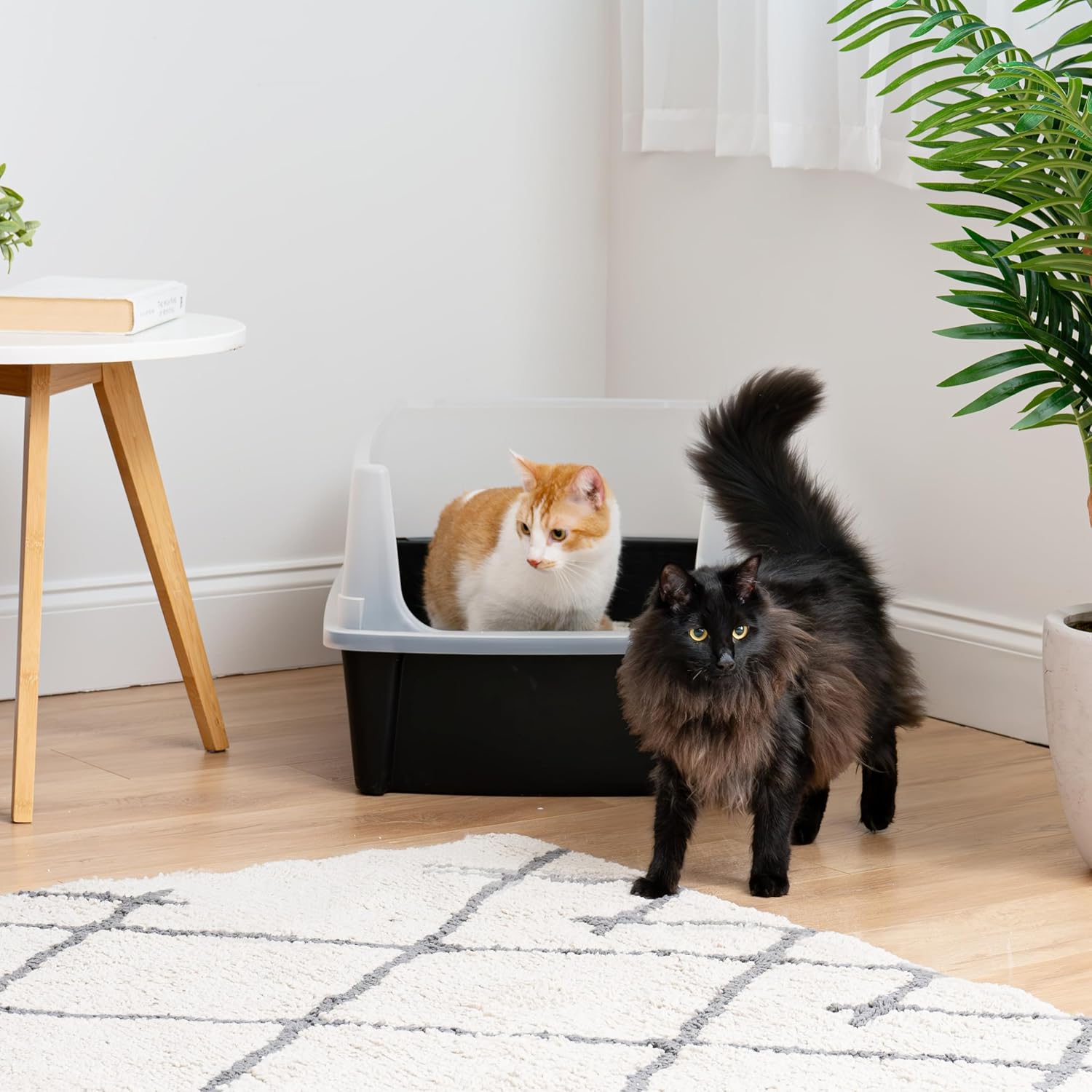 Extra Large Cat Litter Box with Scatter Shield, Open Top High Sided J20154