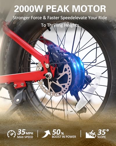 Electric Bike for Adults, 48V 25Ah Removable Battery, 20" Fat Tires C5206