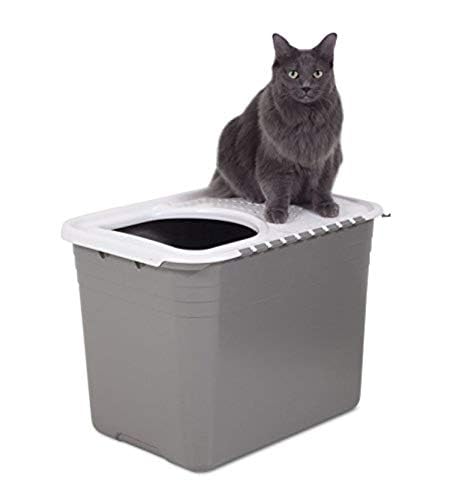 Top Entry Cat Litter Box with Filter Lid B55534