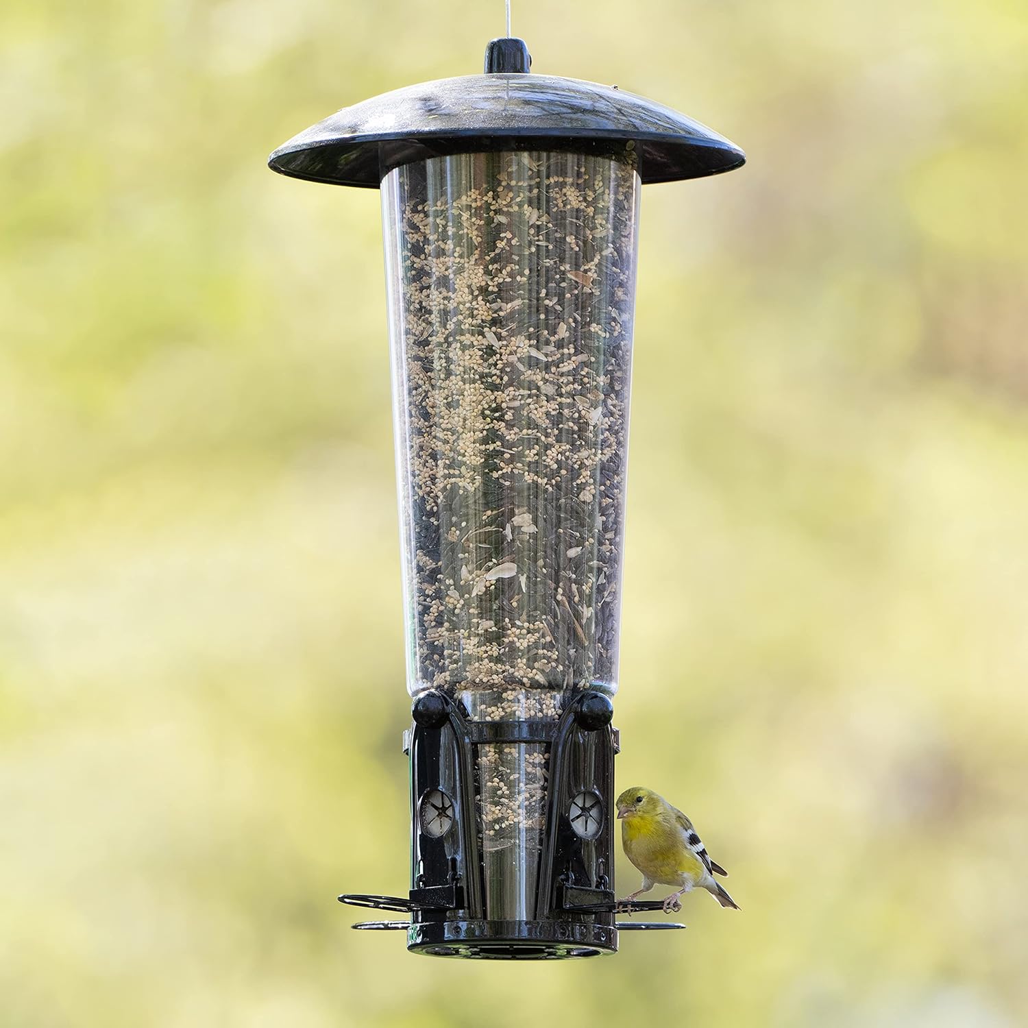 Squirrel Proof Wild Bird Feeder with Weight-Activated Perches, 3LB Seed Capacity I29634
