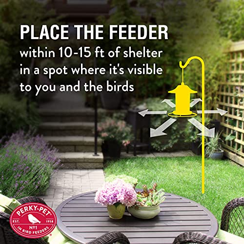Outdoor Panorama Wild Bird Feeder, 2 Lb Seed Capacity S610