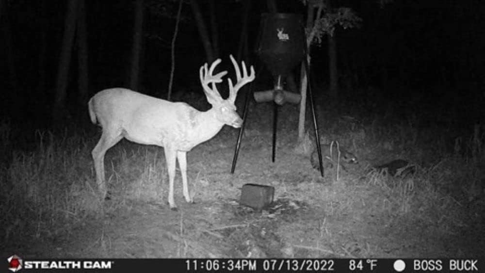 32MP 1080P Hunting Trail Camera with Security Box L412795