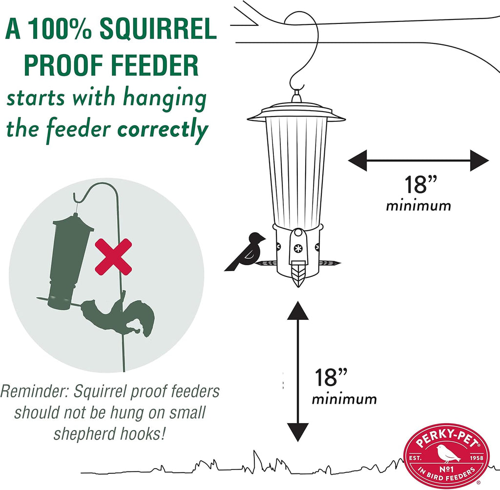 Squirrel Proof Wild Bird Feeder with Weight-Activated Perches, 3LB Seed Capacity I29634