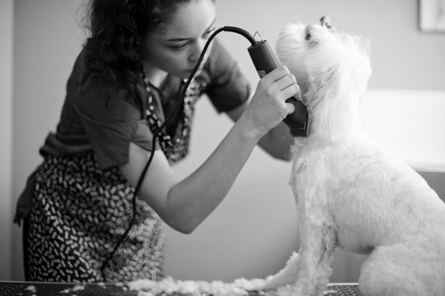 2-Speed Detachable Blade Clipper for Dog Grooming K7918