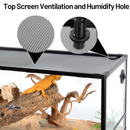 Glass Reptile Terrarium 24" x 18" x 18" with Sliding Door F5154