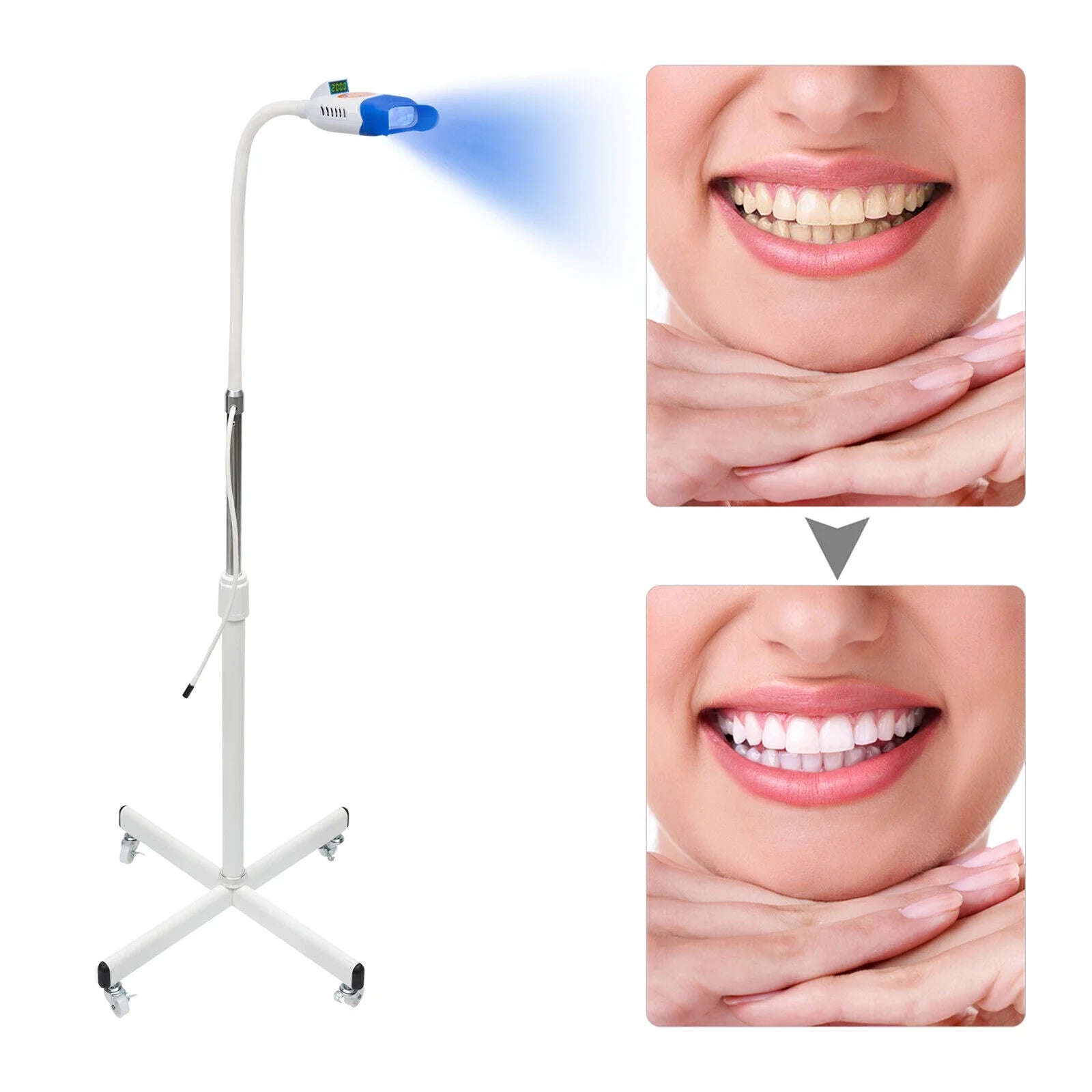 Teeth Whitening Machine LED Light 36W Dental Lamp W133