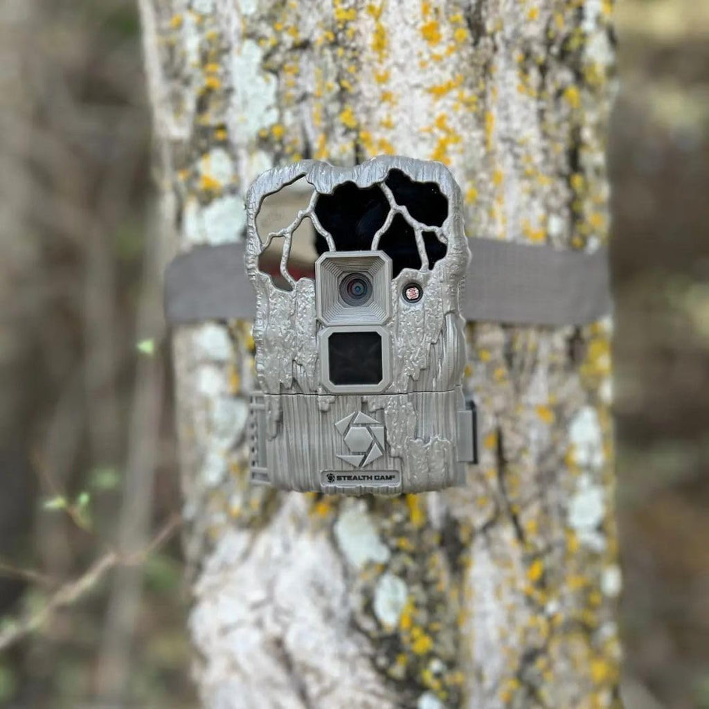 24MP Trail Camera - 2 Pack Z64030