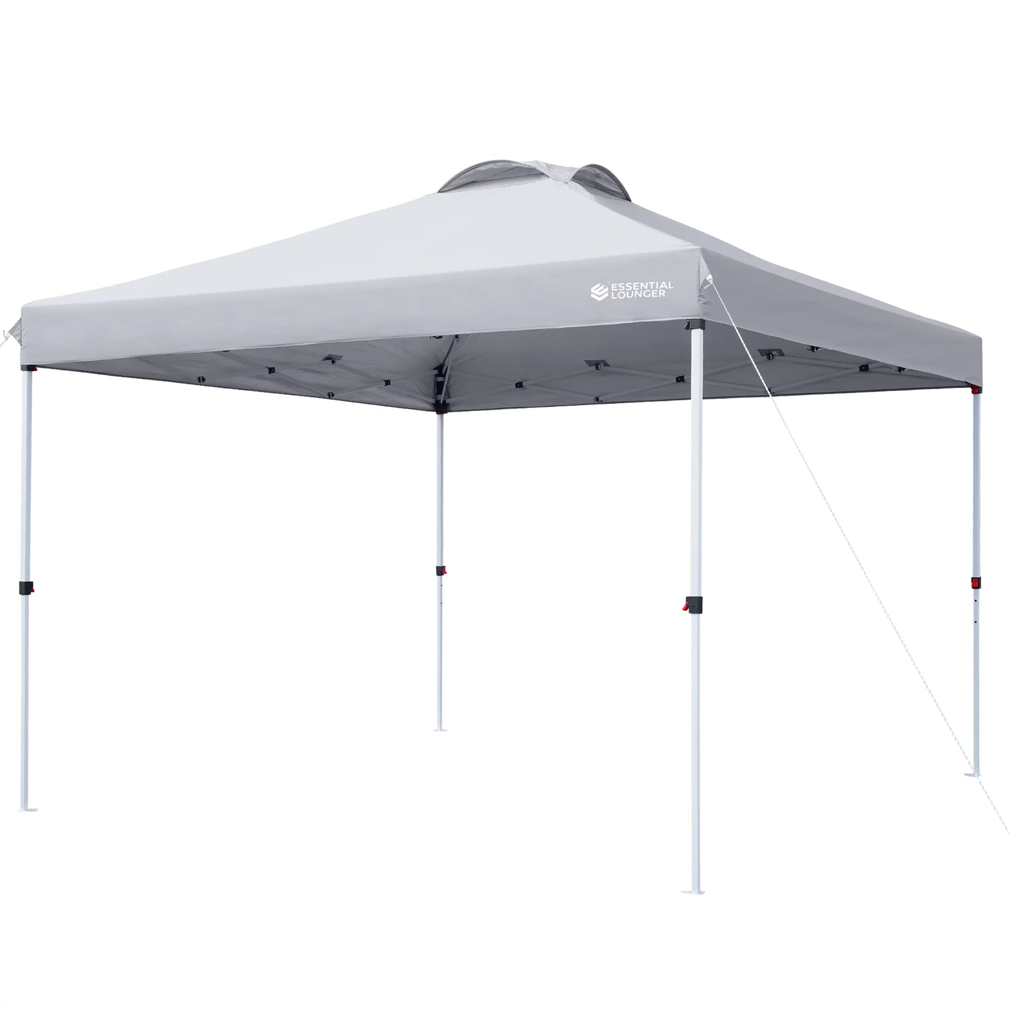 Pop Up Canopy Tent 10x10ft Waterproof Portable with Wheeled Bag F2066