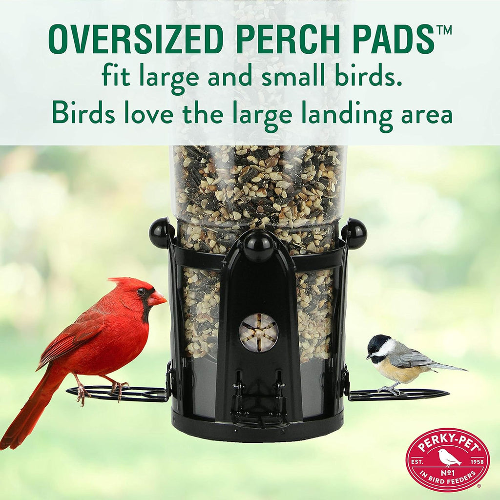 Squirrel Proof Wild Bird Feeder with Weight-Activated Perches, 3LB Seed Capacity I29634