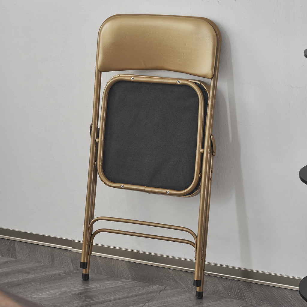 2 Pack Metal Folding Chairs with Padded Seat and Back R816178