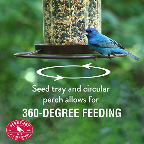 Outdoor Panorama Wild Bird Feeder, 2 Lb Seed Capacity S610
