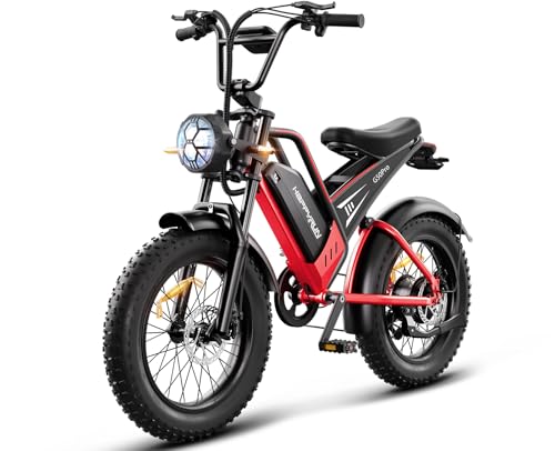 2000W Electric Bike for Adults, 48V 25Ah Removable Battery, Up to 35MPH and 75+ Miles Range, 7-Speed Transmission, 20" Fat Tires Ebike, 3-Pedal-Assist Levels