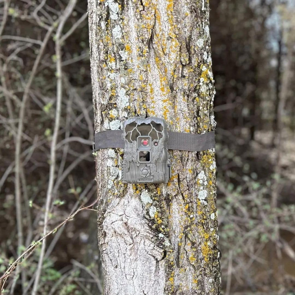 24MP Trail Camera - 2 Pack Z64030