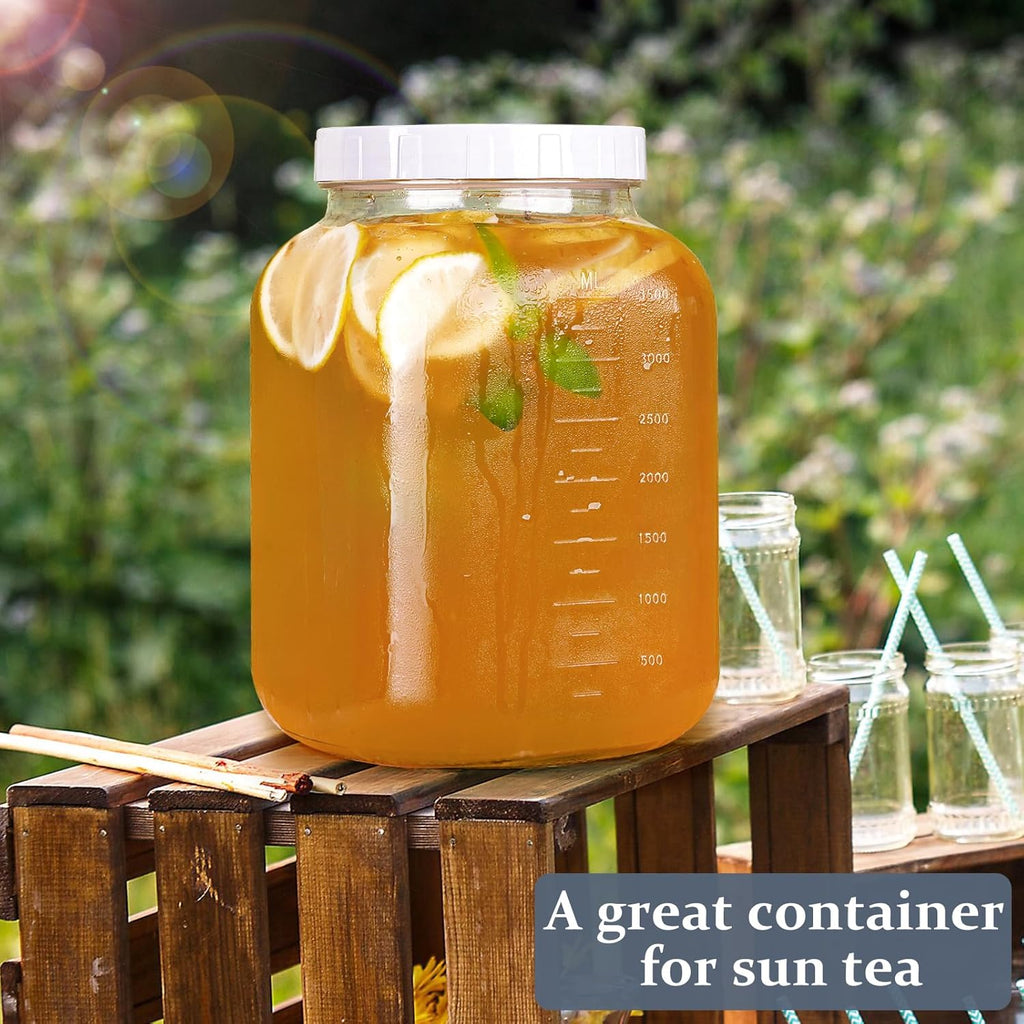 1 Gallon Clear Glass Mason Jar with Airtight Screw Lid and Silicone Gasket V376143