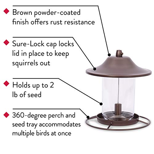 Outdoor Panorama Wild Bird Feeder, 2 Lb Seed Capacity S610