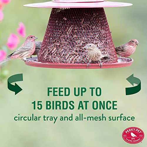 Red Cardinal Bird Feeder V570823