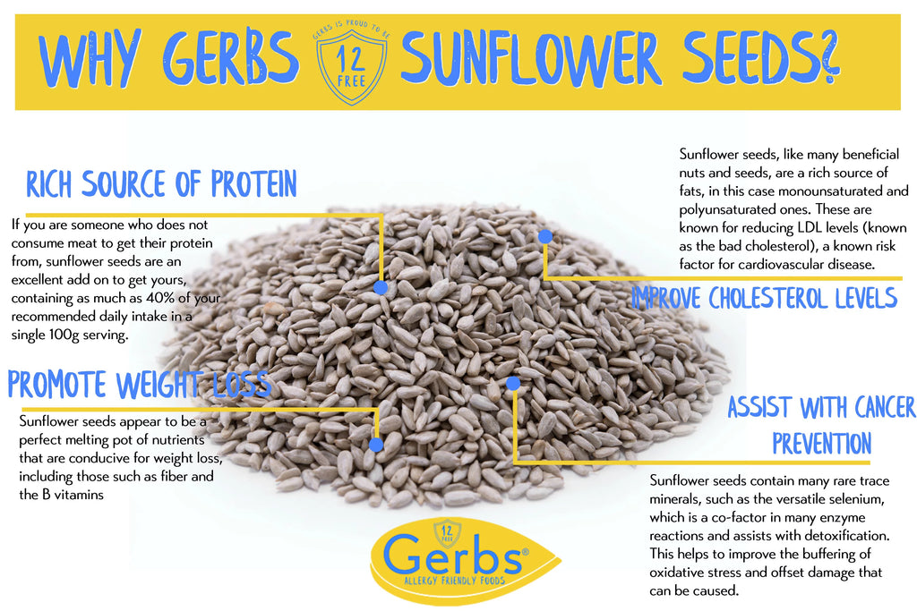 Unsalted Roasted Sunflower Seed Kernels, 2 LBS, Allergen Free, Non GMO, Vegan B670881