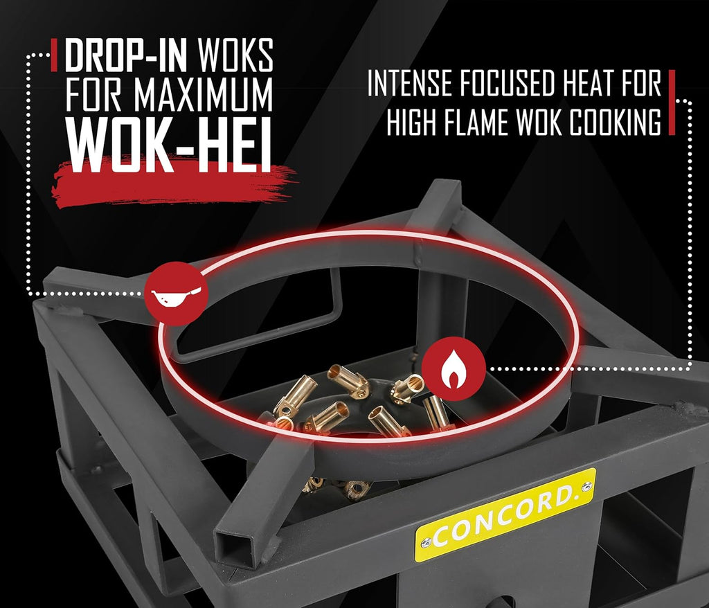 12" Propane Outdoor Burner with Built-in Wok Ring Y211733