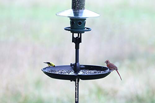 Squirrel-proof Bird Feeder with 6 Feeding Ports, 5.1-pound Seed Capacity, Green X750927