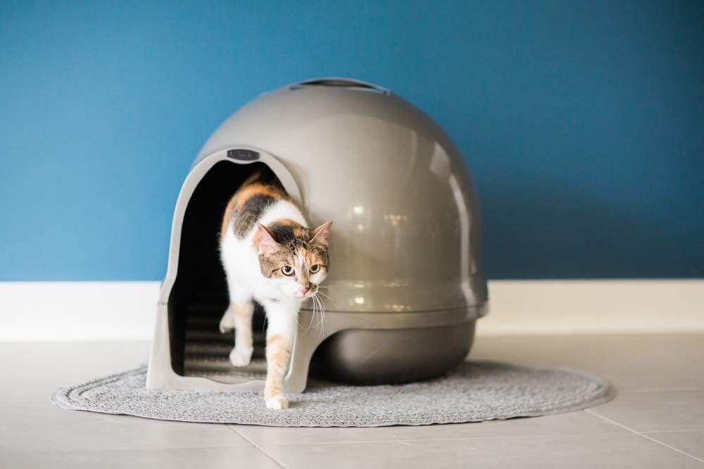 Cat Litter Box Dome with Step, Recycled Materials A134