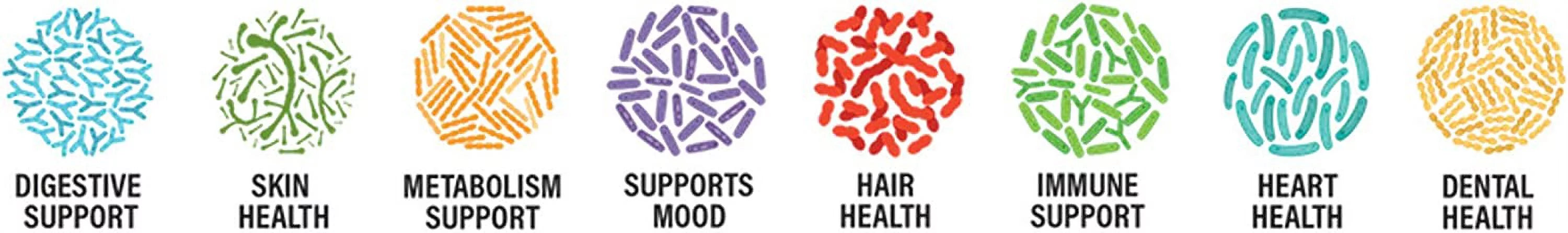 Probiotic Powder for Gut Health, 400 Billion CFU, 30g W5972