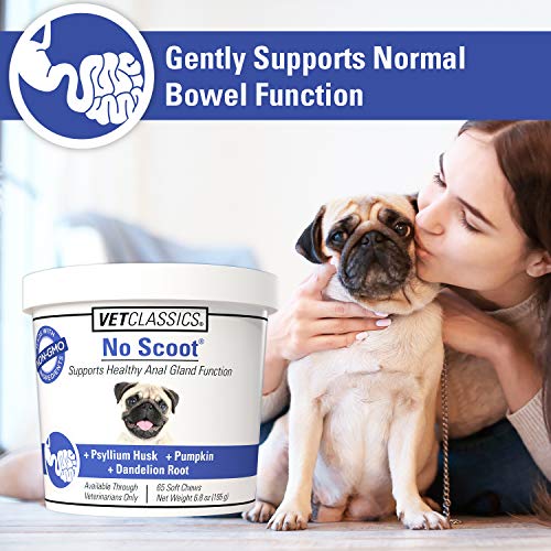 Dog Supplements for Healthy Anal Gland Function, 120 Soft Chews J38678