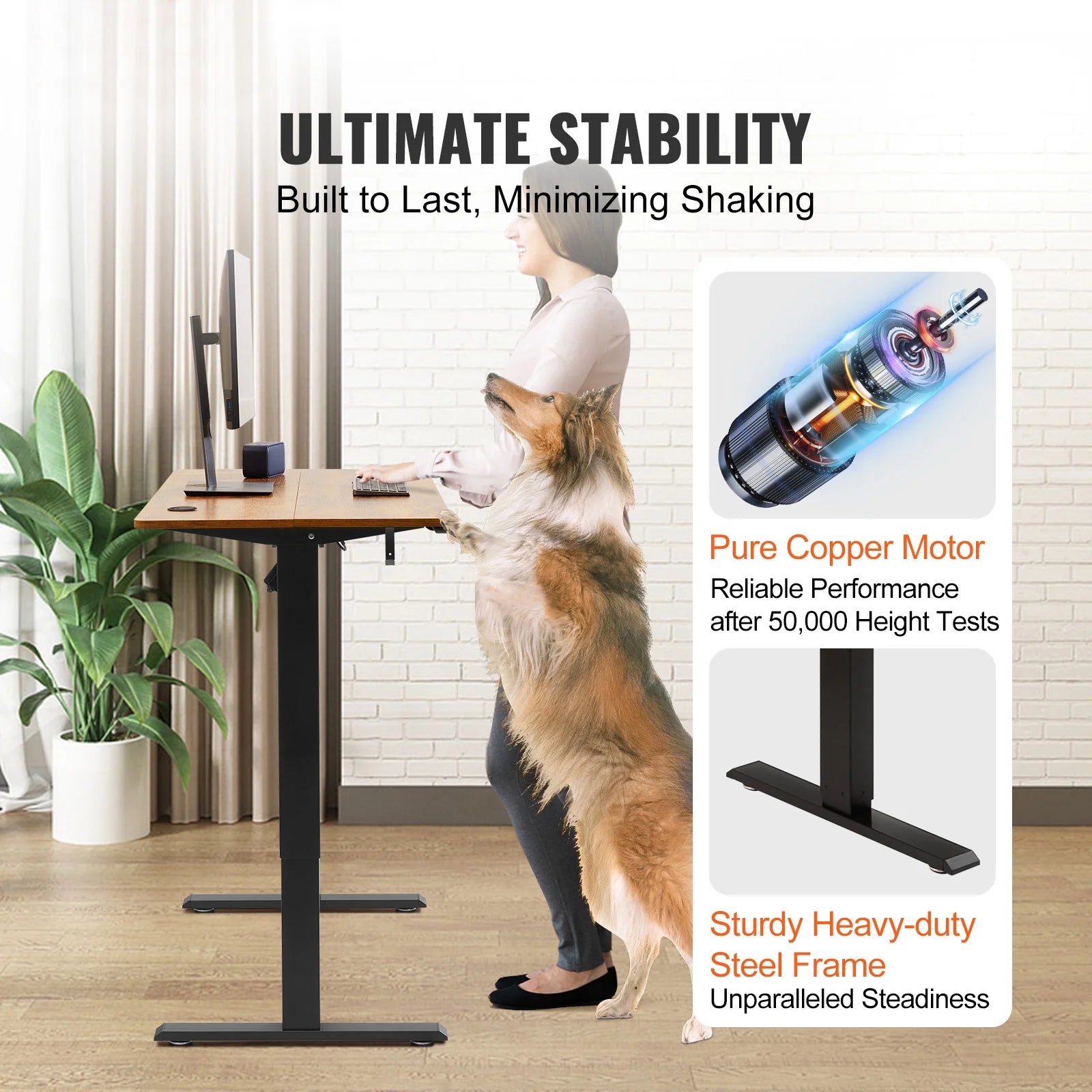 Adjustable Height Standing Desk Electric for Home Office U688