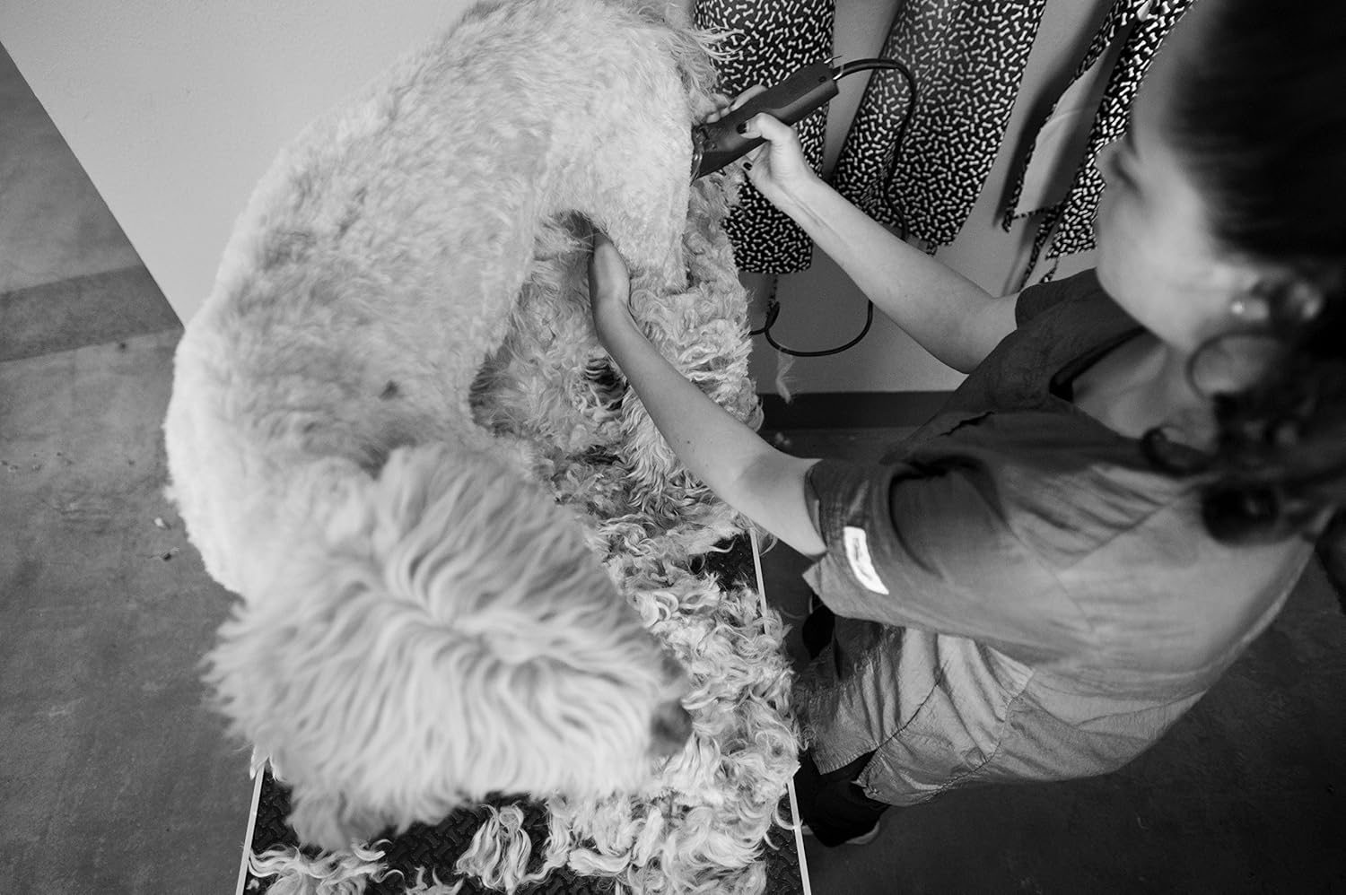 2-Speed Detachable Blade Clipper for Dog Grooming K7918