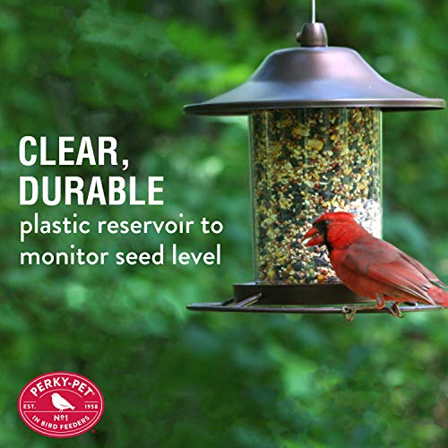 Outdoor Panorama Wild Bird Feeder, 2 Lb Seed Capacity S610