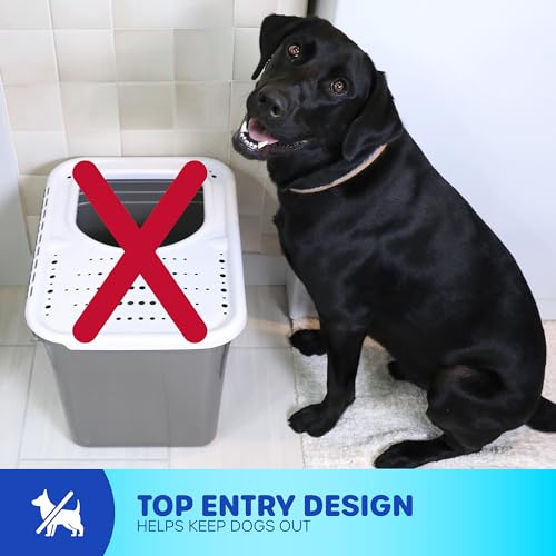 Top Entry Cat Litter Box with Filter Lid B55534