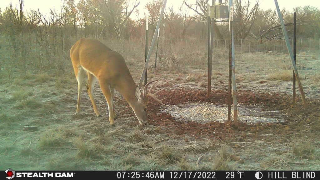 32MP 1080P Hunting Trail Camera with Security Box L412795