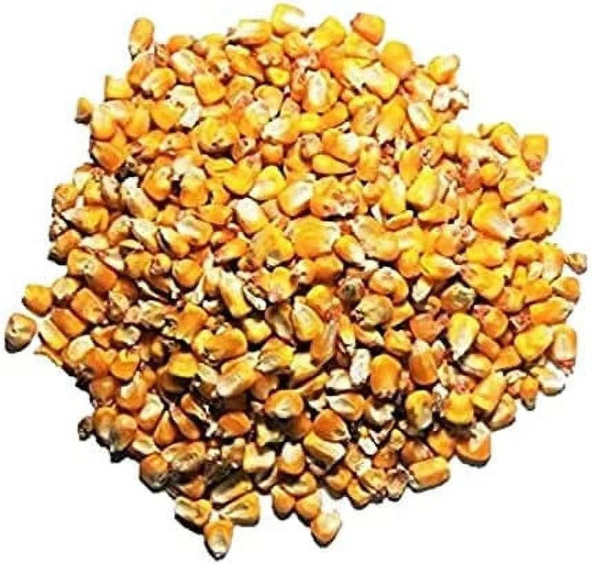 Whole Corn Wild Bird and Deer Feed 10LB I2538
