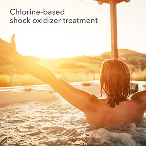 Spa Shock Oxidizer for Spas and Hot Tubs, 2-Pounds D3813