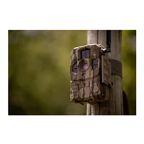Cellular Trail Camera 2-Pack with 32GB Memory Card and Card Reader M9777