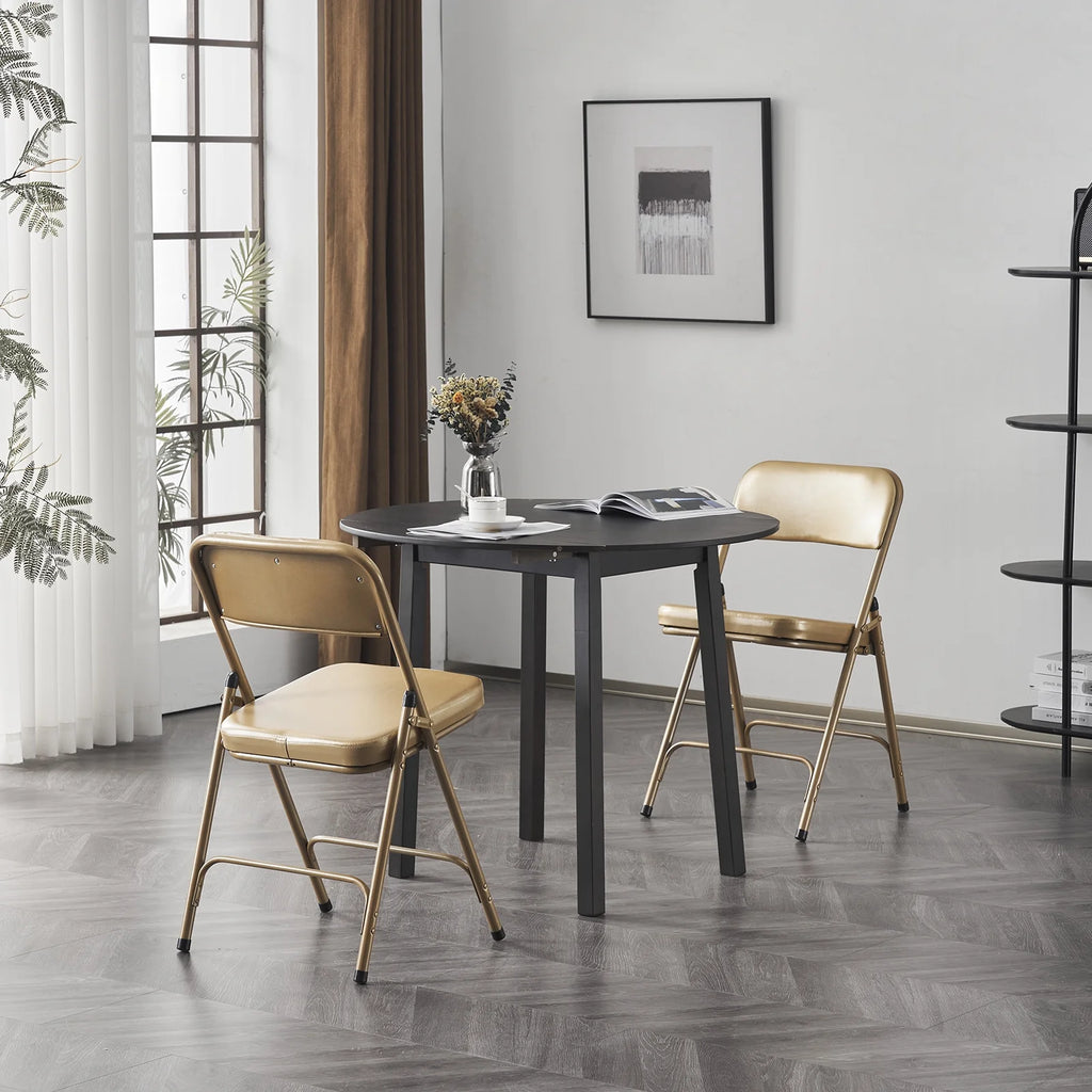 2 Pack Metal Folding Chairs with Padded Seat and Back R816178