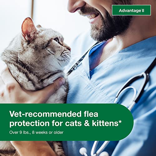 Flea Treatment & Prevention for Large Cats, 12-Month Supply C11011
