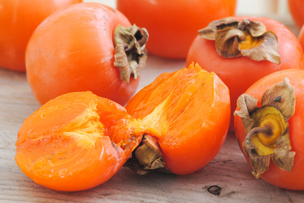 Fuyu Persimmon Tree 4-5ft I855219