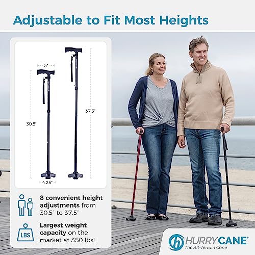 Foldable Walking Cane with T Handle E863