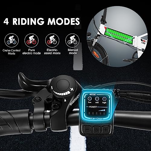 Folding Electric Bike 500W 20" with Removable Battery S7008