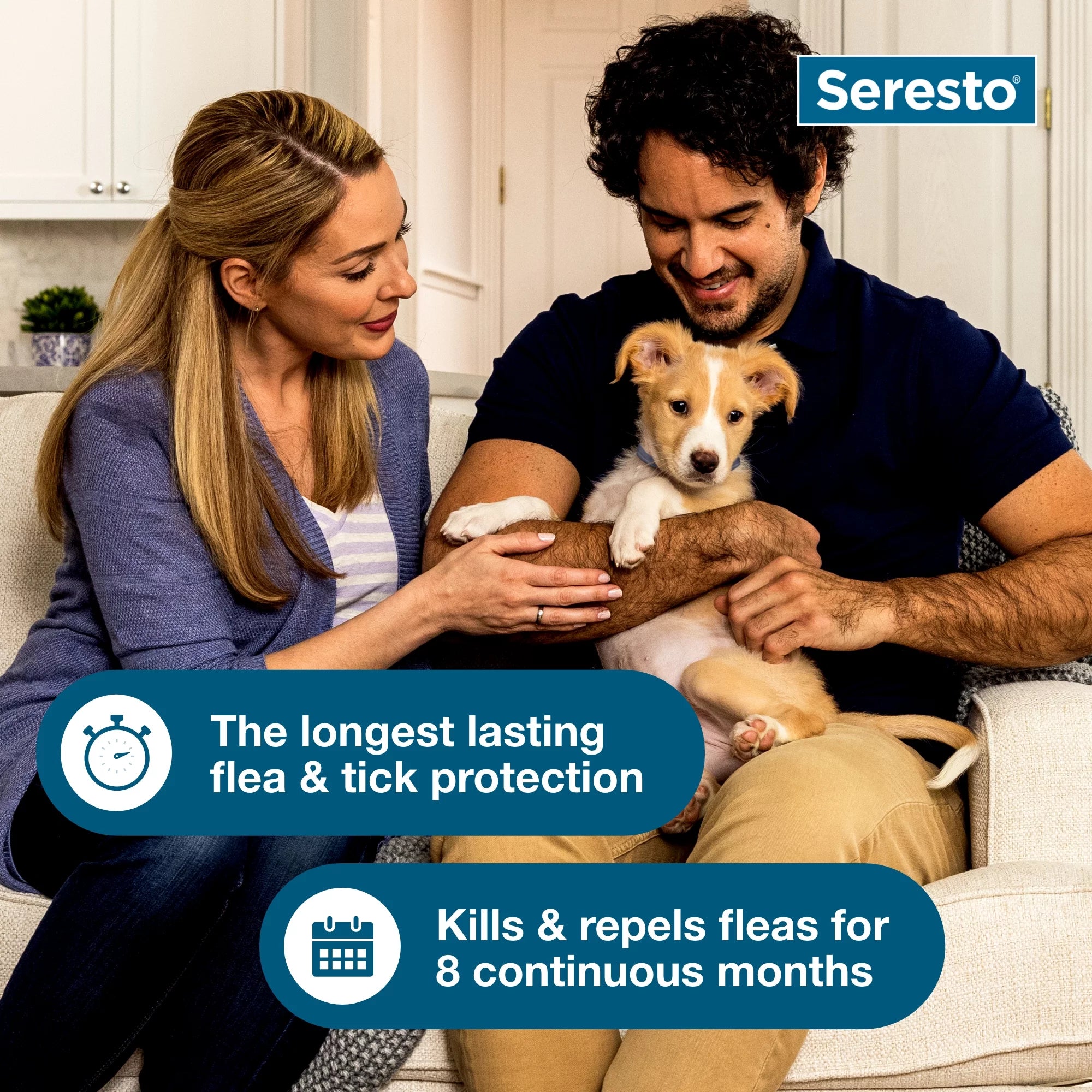 Flea & Tick Prevention Collar for Large Dogs, 8-Month, 18+ lbs P1226