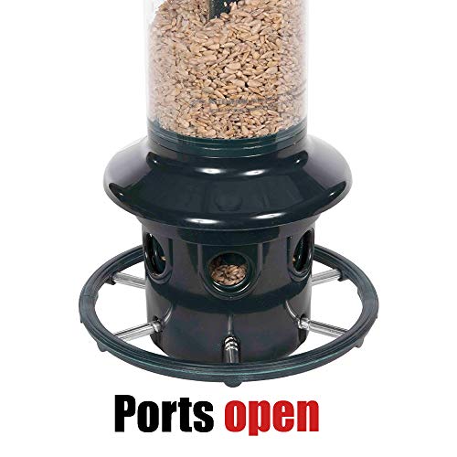 Squirrel-proof Bird Feeder with 6 Feeding Ports, 5.1-pound Seed Capacity, Green X750927